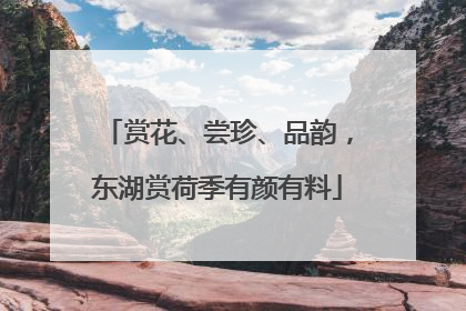 赏花、尝珍、品韵，东湖赏荷季有颜有料