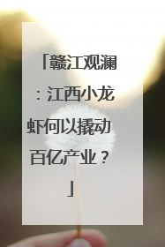 赣江观澜：江西小龙虾何以撬动百亿产业？