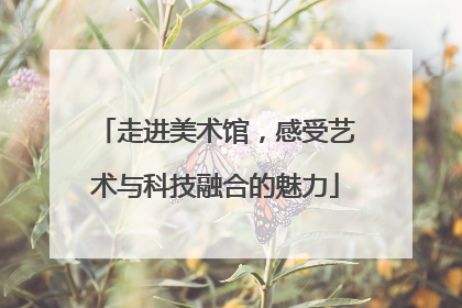 走进美术馆，感受艺术与科技融合的魅力