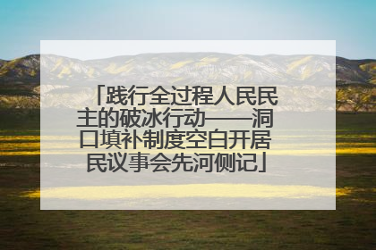 践行全过程人民民主的破冰行动——洞口填补制度空白开居民议事会先河侧记