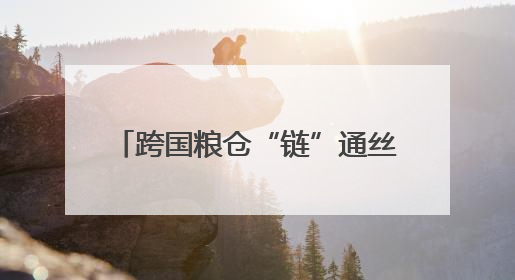 跨国粮仓“链”通丝路 西安爱菊让老陕餐桌飘香中亚味道