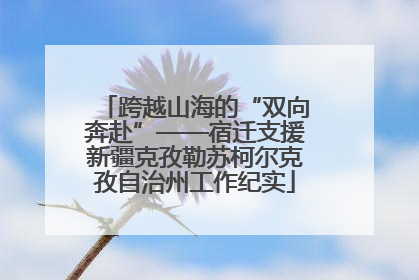 跨越山海的“双向奔赴”——宿迁支援新疆克孜勒苏柯尔克孜自治州工作纪实