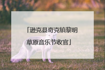 逊克县奇克镇黎明草原音乐节收官
