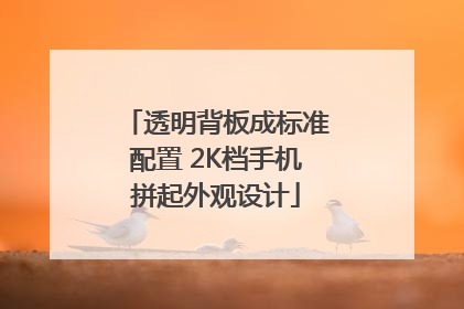透明背板成标准配置 2K档手机拼起外观设计