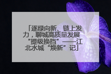逐绿向新、链上发力，聊城高质量发展“提级换挡”——江北水城“焕新”记