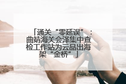 通关“零延误”：曲靖海关会泽集中查检工作站为云品出海架“金桥”