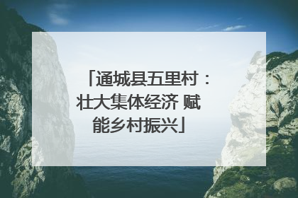 通城县五里村：壮大集体经济 赋能乡村振兴
