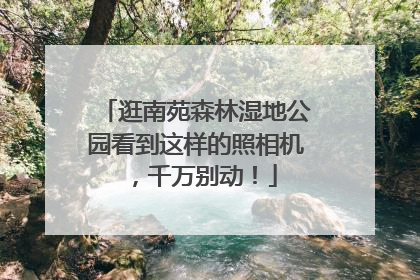 逛南苑森林湿地公园看到这样的照相机，千万别动！