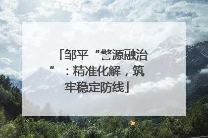 邹平“警源融治”：精准化解，筑牢稳定防线