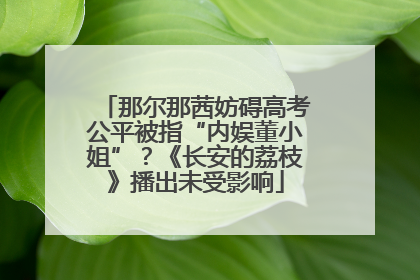 那尔那茜妨碍高考公平被指“内娱董小姐”？《长安的荔枝》播出未受影响