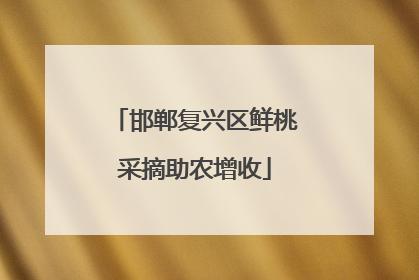 邯郸复兴区鲜桃采摘助农增收