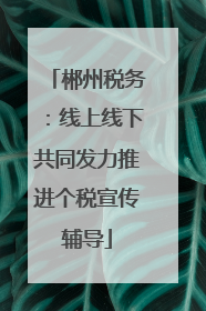 郴州税务：线上线下共同发力推进个税宣传辅导