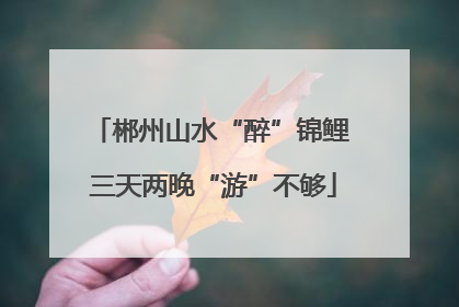 郴州山水“醉”锦鲤 三天两晚“游”不够