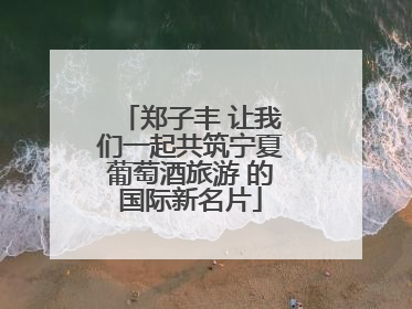 郑子丰 让我们一起共筑宁夏葡萄酒旅游 的国际新名片