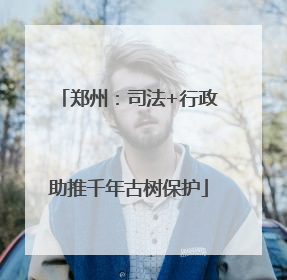郑州：司法+行政助推千年古树保护