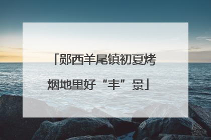郧西羊尾镇初夏烤烟地里好“丰”景