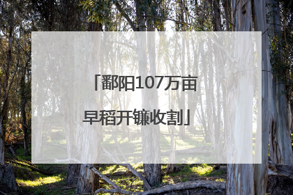 鄱阳107万亩早稻开镰收割