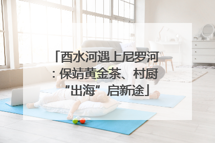 酉水河遇上尼罗河：保靖黄金茶、村厨“出海”启新途