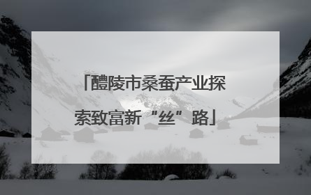 醴陵市桑蚕产业探索致富新“丝”路