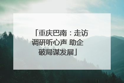 重庆巴南：走访调研听心声 助企破局谋发展
