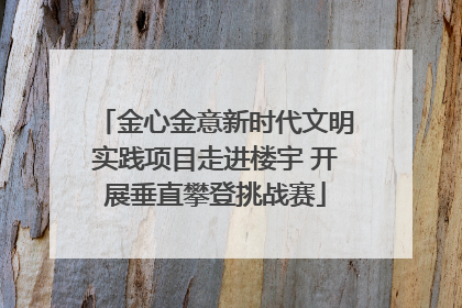 金心金意新时代文明实践项目走进楼宇 开展垂直攀登挑战赛