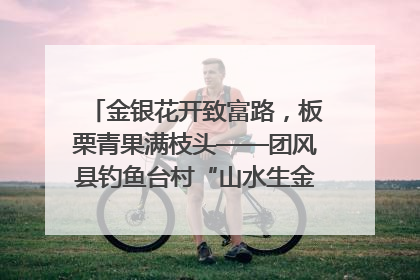 金银花开致富路，板栗青果满枝头——团风县钓鱼台村“山水生金”谱写共富新篇章