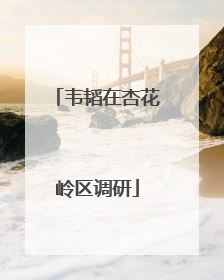 韦韬在杏花岭区调研