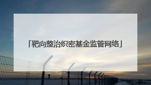 靶向整治织密基金监管网络