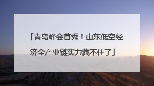 青岛峰会首秀！山东低空经济全产业链实力藏不住了