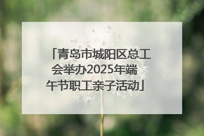 青岛市城阳区总工会举办2025年端午节职工亲子活动