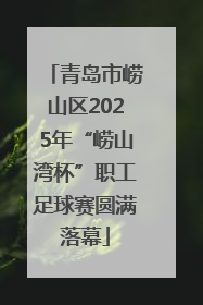 青岛市崂山区2025年“崂山湾杯”职工足球赛圆满落幕