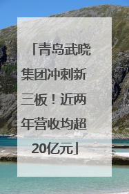 青岛武晓集团冲刺新三板！近两年营收均超20亿元