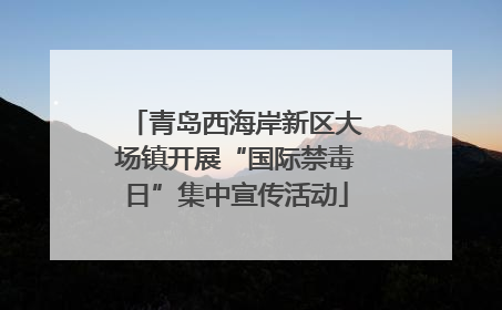 青岛西海岸新区大场镇开展“国际禁毒日”集中宣传活动