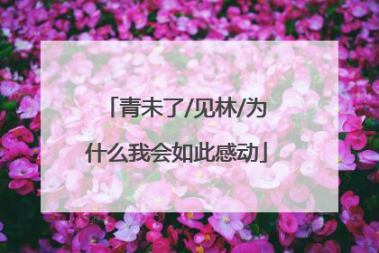 青未了/见林/为什么我会如此感动
