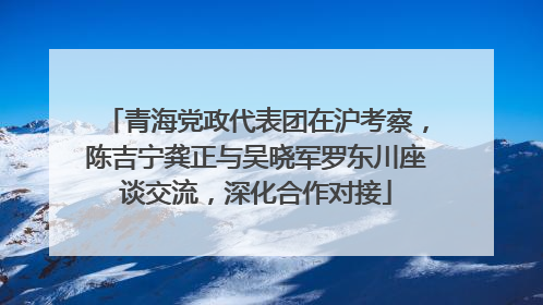 青海党政代表团在沪考察，陈吉宁龚正与吴晓军罗东川座谈交流，深化合作对接