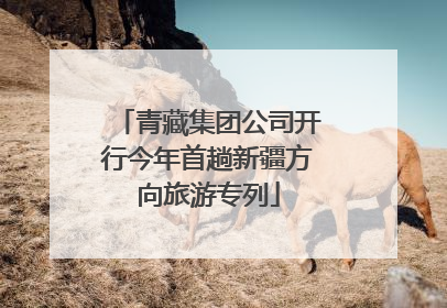 青藏集团公司开行今年首趟新疆方向旅游专列