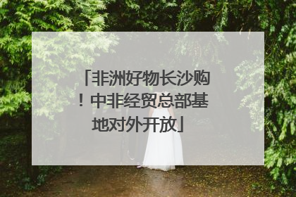 非洲好物长沙购！中非经贸总部基地对外开放