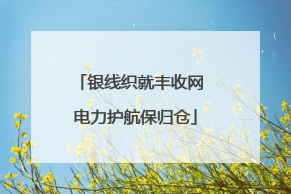 银线织就丰收网 电力护航保归仓
