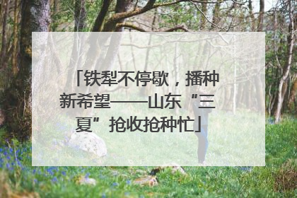铁犁不停歇，播种新希望——山东“三夏”抢收抢种忙