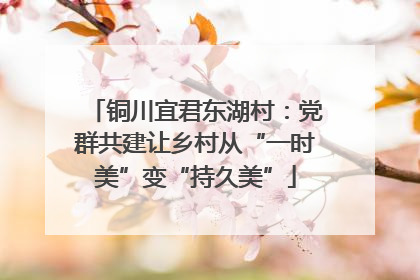 铜川宜君东湖村：党群共建让乡村从“一时美”变“持久美”