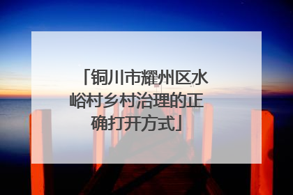 铜川市耀州区水峪村乡村治理的正确打开方式