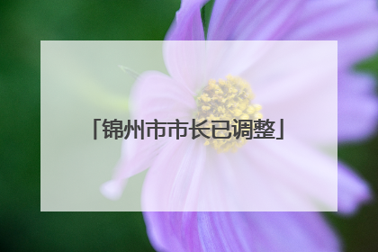 锦州市市长已调整