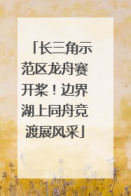 长三角示范区龙舟赛开桨！边界湖上同舟竞渡展风采
