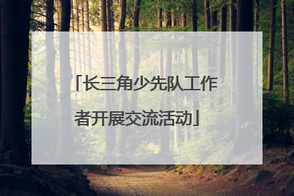 长三角少先队工作者开展交流活动