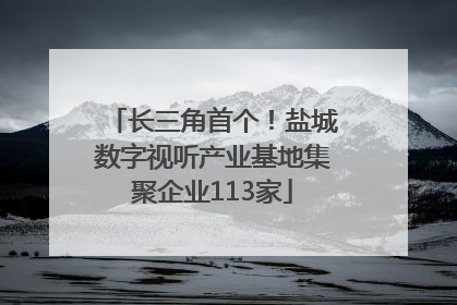 长三角首个！盐城数字视听产业基地集聚企业113家