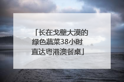 长在戈壁大漠的绿色蔬菜38小时直达粤港澳餐桌