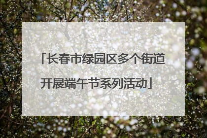 长春市绿园区多个街道开展端午节系列活动