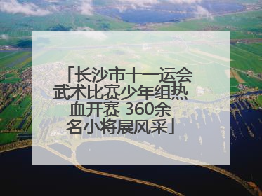 长沙市十一运会武术比赛少年组热血开赛 360余名小将展风采