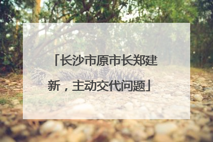长沙市原市长郑建新，主动交代问题