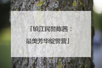 镇江民警陈茜：最美芳华绽警营